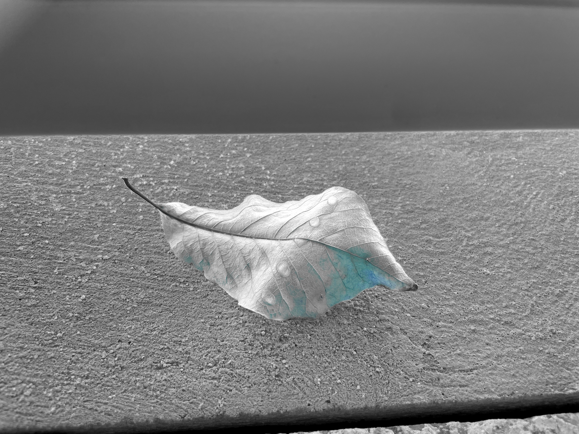 Jeong Hyoyeon, Paris 13e, 2024, Digital print on paper, size variable