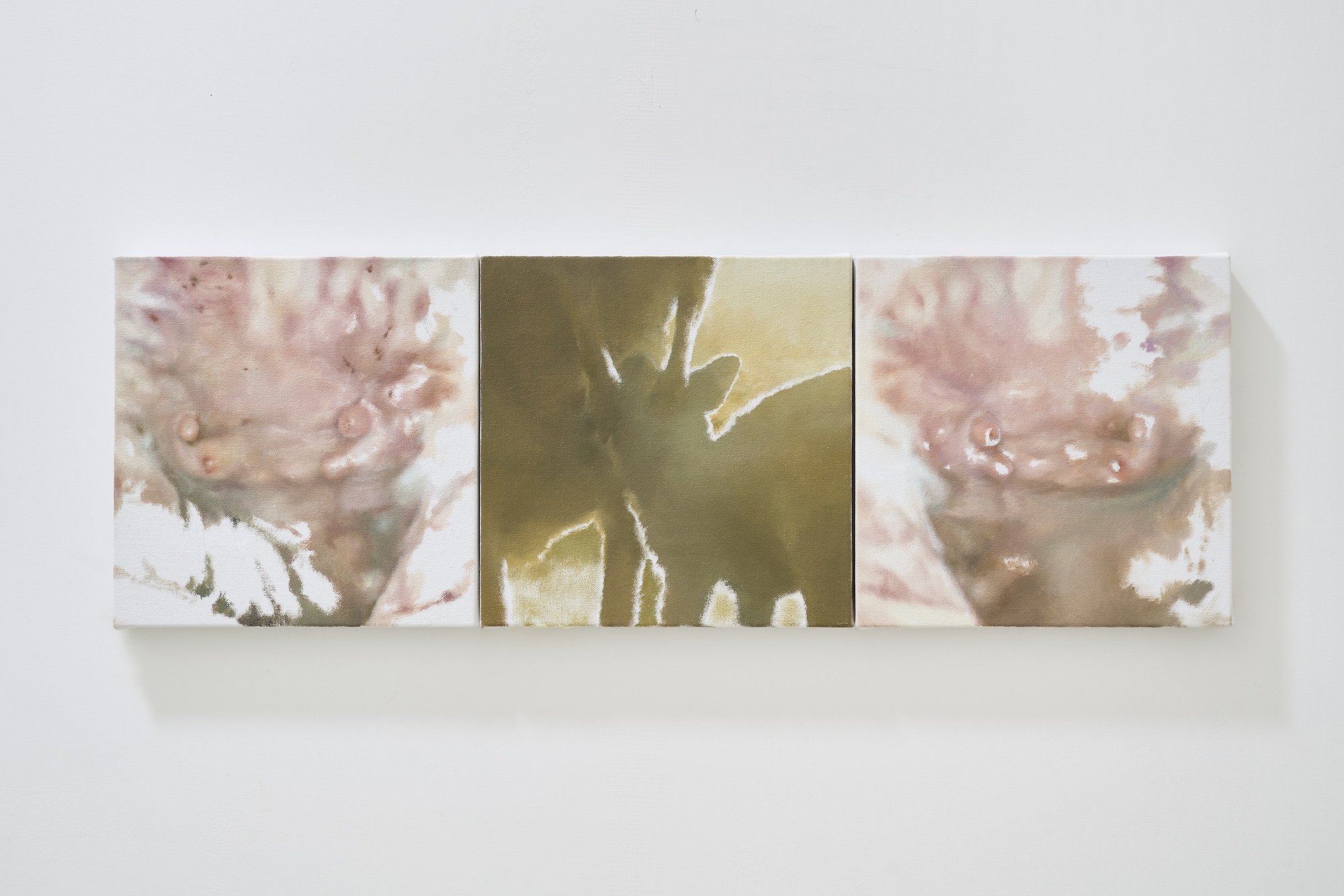 Ean Choi, outgrown, 2026, oil on canvas, 24.2x73.5cm
