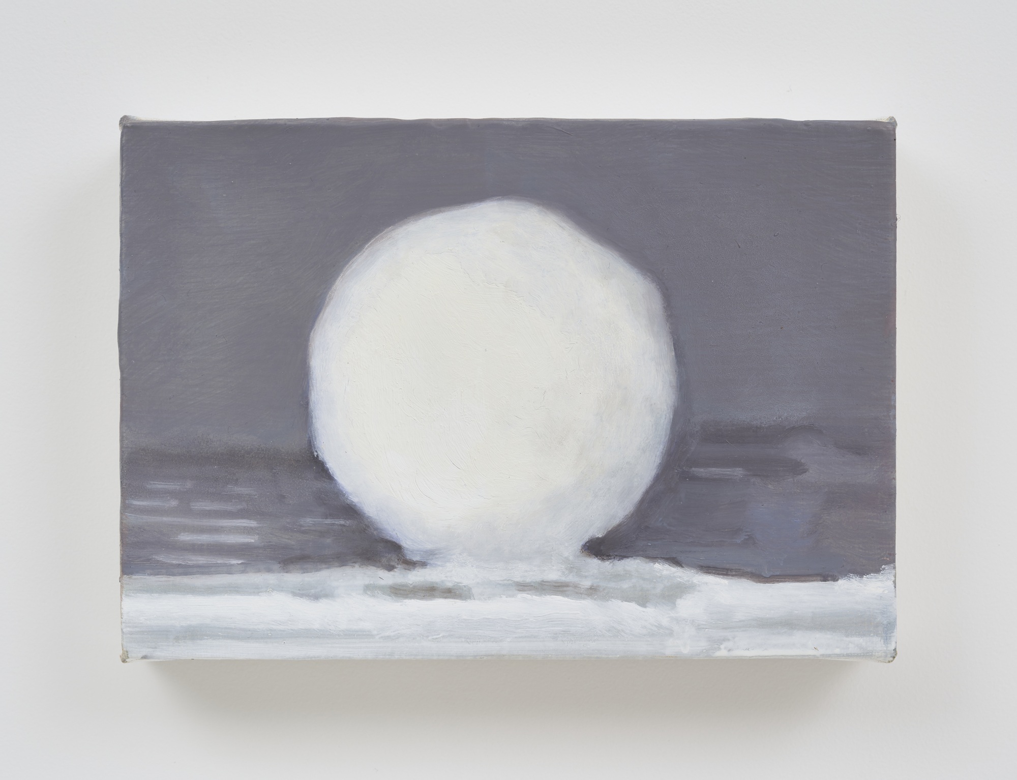 Snow White, 2026, oil on canvas, 16x23cm