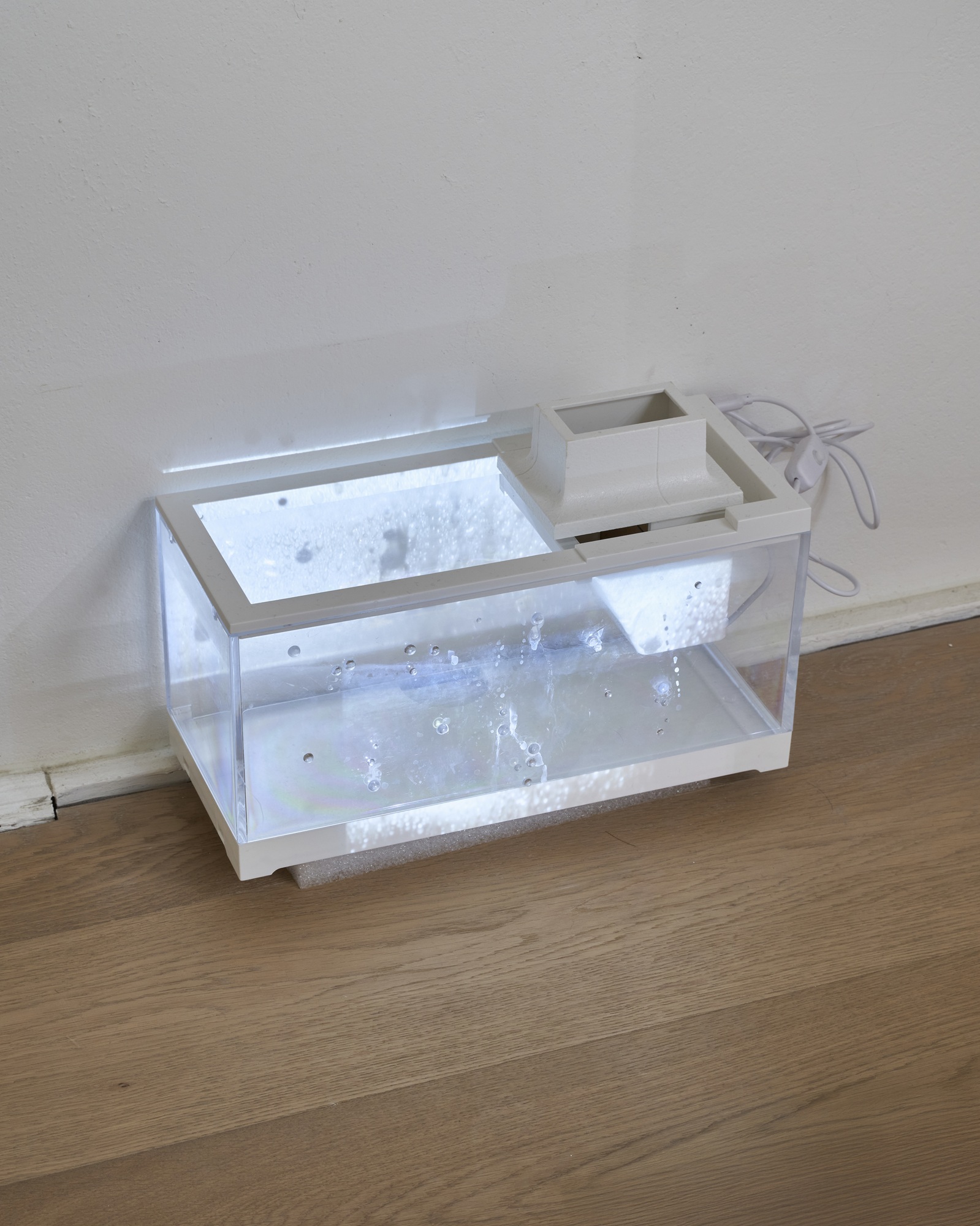 Berni*e Poikāne, Winter tale, 2025, aquarium, artificial dew drops, projected video, 6 min loop, 20x30x19cm